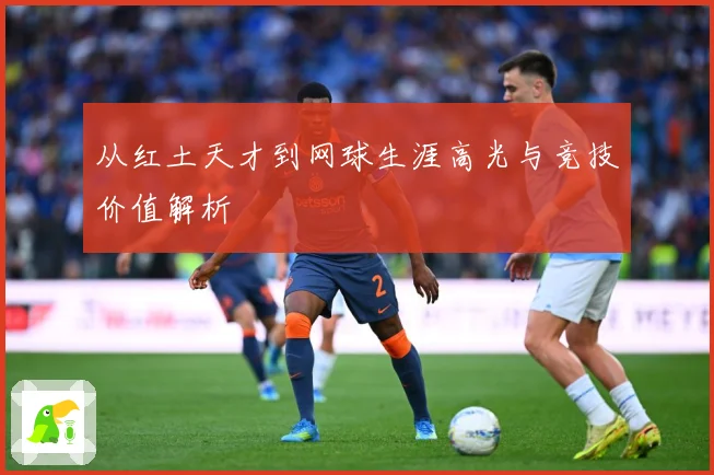 从红土天才到网球生涯高光与竞技价值解析